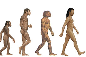 Darwin's Theory of Evolution